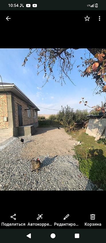 Продажа коттеджей и домов: Село Байтик Арчалы Уй сатылат Кызыл китеби менен уйдун размери 145 at lalafo.kg — 14 Продажа коттеджей и домов: Село Байтик Арчалы Уй сатылат Кызыл китеби менен уйдун размери 145 — 14