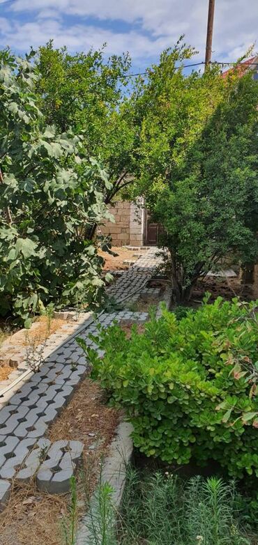 Həyət evləri və villaların satışı: Şağan 3 otaqlı, 65 kv. m, Orta təmir — 13