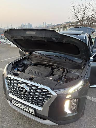 Hyundai: Hyundai Palisade: 2020 г., 2.2 л, Автомат, Дизель, Кроссовер — 31