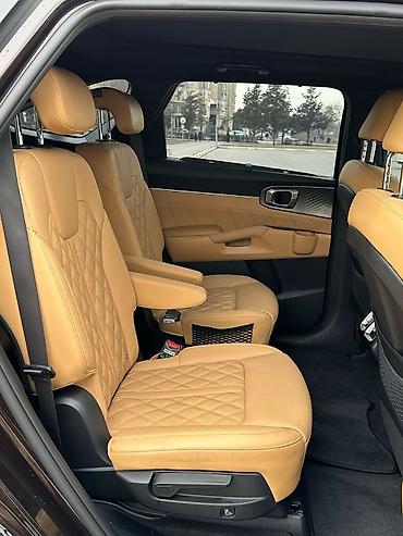 Kia: Kia Sorento: 2020 г., 1.6 л, Автомат, Гибрид, Кроссовер — 10