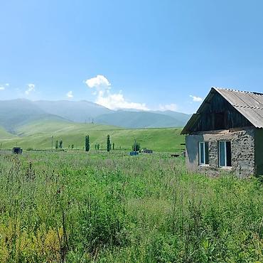 ысык кол отель: 33 соток, Кызыл китеп — 4
