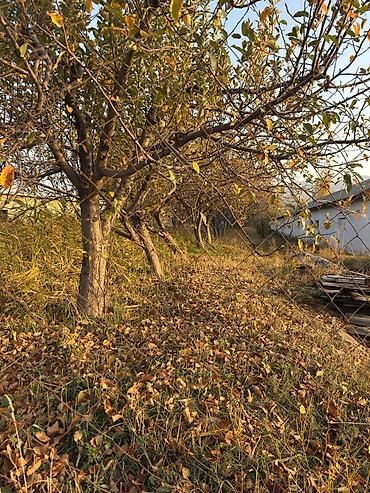 Продажа участков: 170 соток, Для строительства, Договор долевого участия — 11