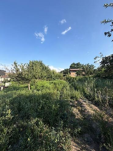 чон арыке: 8 соток, Курулуш, Кызыл китеп, Техпаспорт, Сатып алуу-сатуу келишими — 5