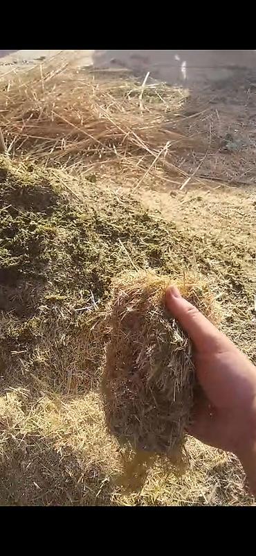 Kənd təsərrüfatı avadanlığı: Yaşıl yem və saman doğrayan elektrikli aqreqat Məhsul təsviri: - Ot — 4