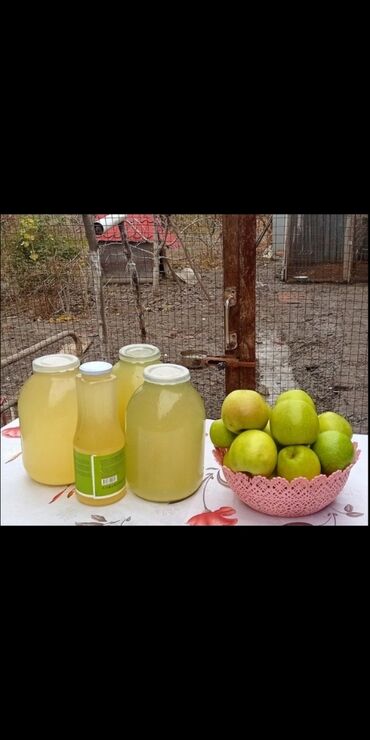 Mağazalar: 5️⃣0️⃣0️⃣Aznə icareye verilir. Obyekt 2008 ilden fealiyyet gosterib — 9