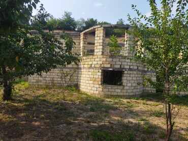 Torpaq sahələrinin satışı: 24 sot, Kənd təsərrüfatı, Kupça (Çıxarış) — 2