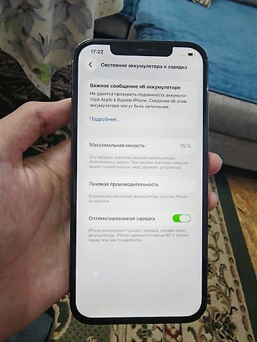 айфон 15 про купить бишкек: IPhone 12 Pro Max, Б/у, 128 ГБ, Синий, Зарядное устройство, 75 % — 2