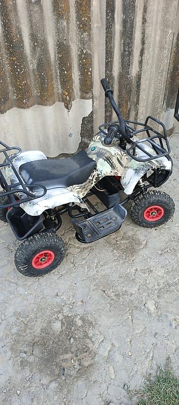 ucuz usaq oyuncaqlari: Elektrik uşaq kvadrosikl və qoşqu - Növ: elektrikli uşaq ATV (4 — 1