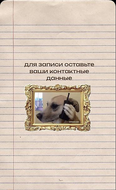 sat math: Репетитор по математике — 9