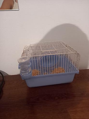 Животные: Siçan/hamster qəfəsi – mavi plastik altlıq və ağ metal barmaqlıqlar - — 2