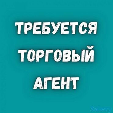 жумуш продавец: Требуется Торговый агент, График: Пятидневка, Без опыта, Официальное трудоустройство, Полный рабочий день
