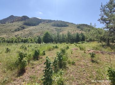 Продажа участков: 255 соток, Для сельского хозяйства — 14