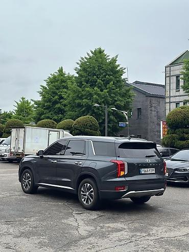 palisade: Hyundai Palisade: 2020 г., Кроссовер — 4