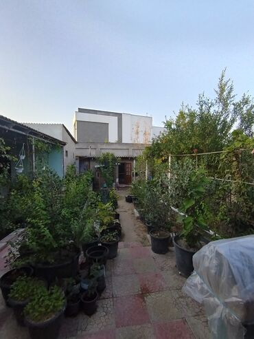 Həyət evləri və villaların satışı: 4 otaqlı, 80 kv. m, Orta təmir -da lalafo.az — 4 Həyət evləri və villaların satışı: 4 otaqlı, 80 kv. m, Orta təmir — 4