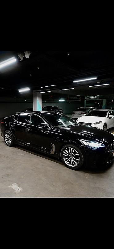 киа стрингер: Kia Stinger: 2019 г., 2 л, Автомат, Бензин, Лифтбек — 3
