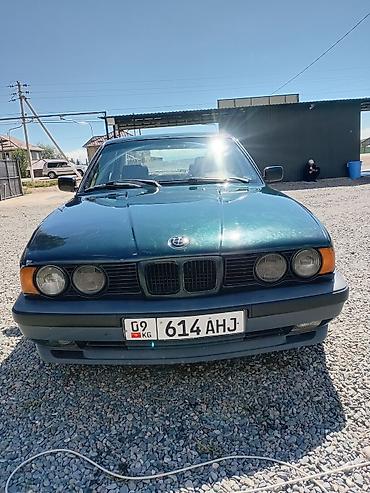авто краска: BMW 5 series: 1992 г., 2 л, Механика, Бензин, Седан — 1