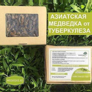 Красота и здоровье: Традиционное натуральное средство: сушёная азиатская медведка — 4
