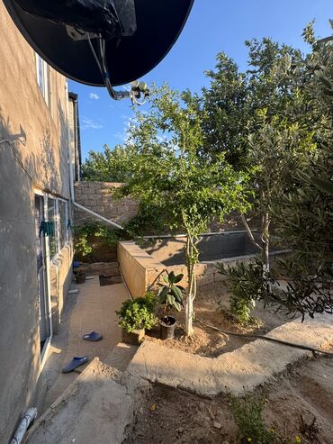 Həyət evləri və villaların satışı: 4 otaqlı, 220 kv. m, Kredit yoxdur, Orta təmir -da lalafo.az — 22 Həyət evləri və villaların satışı: 4 otaqlı, 220 kv. m, Kredit yoxdur, Orta təmir — 22