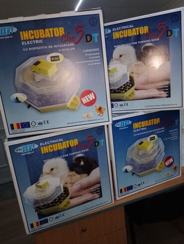 farm: Poluautomatski inkubator Cleo,kapacitet 41 jaje