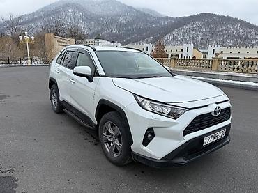 Toyota: Toyota RAV4: 2 l | 2023 il Krossover — 1
