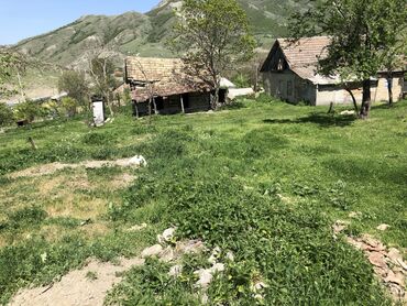 Torpaq sahələrinin satışı: 30 sot, Kənd təsərrüfatı, Mülkiyyətçi, Kupça (Çıxarış) -da lalafo.az — 18 Torpaq sahələrinin satışı: 30 sot, Kənd təsərrüfatı, Mülkiyyətçi, Kupça (Çıxarış) — 18