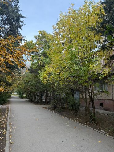 3 комнатная квартира продажа: 2 бөлмө, 43 кв. м, 104-серия, 3 кабат, Евроремонт