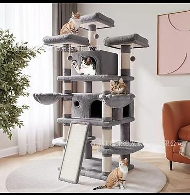таба котик: 🐱 Большой игровой комплекс для кошек Состояние: идеальное, абсолютно — 1