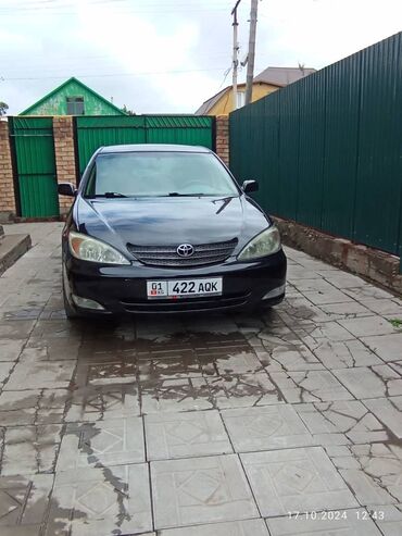 тайота колдина: Toyota Camry: 2003 г., 2.4 л, Автомат, Бензин, Седан