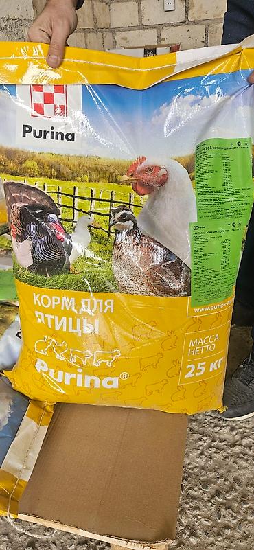 Yemlər: Rusiya istehsali broyler ve hiduska yemleri broyler yemi protein 28 — 6