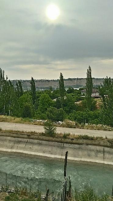 Продажа коттеджей и домов: Продаётся дом с большим участком — 4