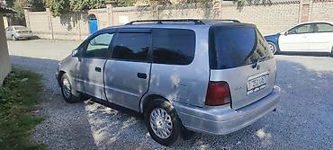 honda odyssey 97: Honda Odyssey: 1997 г., Минивэн — 2