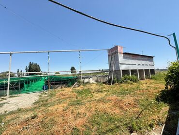 Сельхоз предприятия: 🔷 продаётся действующее рыбное хозяйство • 10,8 га 📍 сокулукский — 11