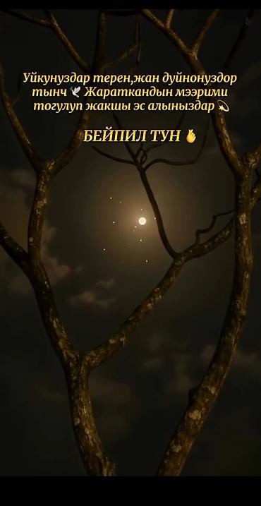1 болмо: Саламатсыздарбы чогуу жашаганга бир кыз керек восток 5 те менин — 3