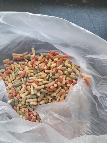 baliqlar: Akvaryum baliqlar ucun yem