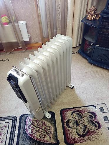 carpet cleaner: Масляный обогреватель Кол-во секций: 10 и более, Отключение при перегреве — 1