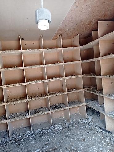 qus iran: Quşxana satılır içinin xanələri səliqəlidir 90 dənə xanəsi var — 3