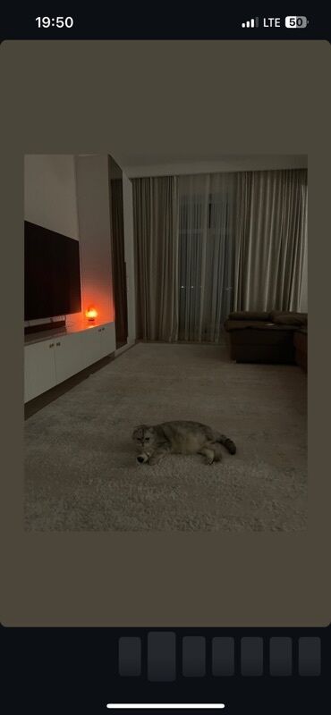 сдаю дом на длительный срок: Нужна квартира на месяц в Бишкеке срочно ‼️ 
До 30.000 сомов