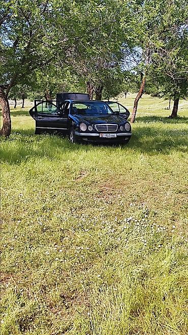 мерс 210 дизель 2 7: Mercedes-Benz E-Class: 1999 г., 2.7 л, Автомат, Дизель, Седан — 2