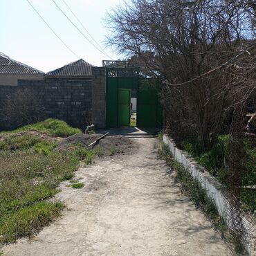 Torpaq sahələrinin satışı: 16 sot, Tikinti, Mülkiyyətçi, Kupça (Çıxarış) — 14