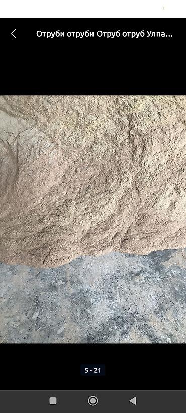 Корма для с/х животных: Улпак отруби кебек оптом - Натуральные отруби крупного и среднего — 17