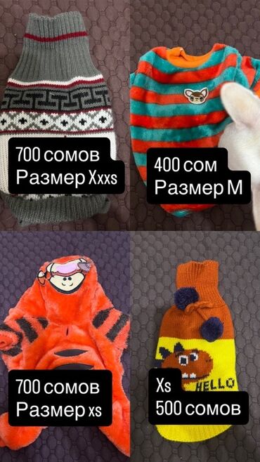 домик для кошек: Вещи для мелких пород собак, цена указана на фото и размеры тоже на