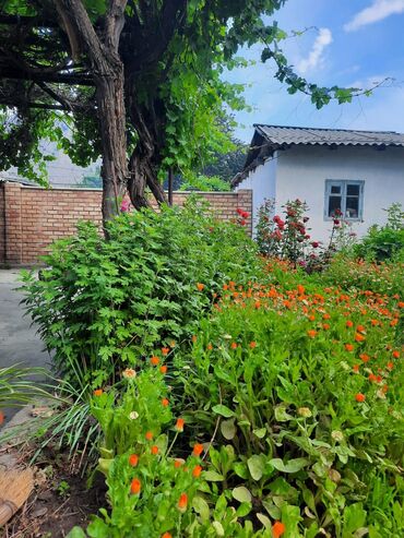 Продажа домов: Дом, 73 м², 5 комнат, Собственник, Косметический ремонт at lalafo.kg — 11 Продажа домов: Дом, 73 м², 5 комнат, Собственник, Косметический ремонт — 11