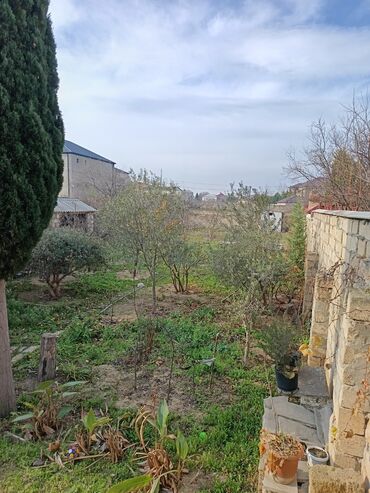 Bağ evlərinin satışı: Novxanı, 250 kv. m, 6 otaqlı, Hovuzsuz, Kombi, Qaz, İşıq — 6