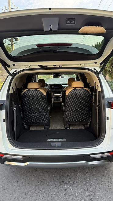 Kia: Kia Carnival: 2020 г., 2.2 л, Автомат, Дизель, Минивэн — 17