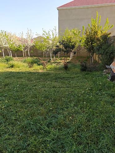 2 sot nece kv metrdir: 7 sot, Kənd təsərrüfatı, Kupça (Çıxarış) — 3