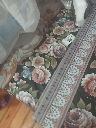 tutuquşu satışı az: Mavi çərçivəli qəfəsdə bir neçə tutuquşu. Qəfəsdə ağ, sarı və mavi — 5