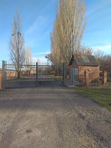 участки кызыл ту: С оборудованием, 7000 м² — 1