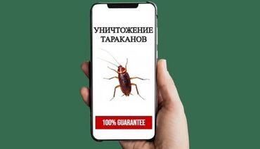 Дезинфекция, дезинсекция: Дезинфекция, дезинсекция, | Тараканы, | Офисы, Квартиры, Дома
