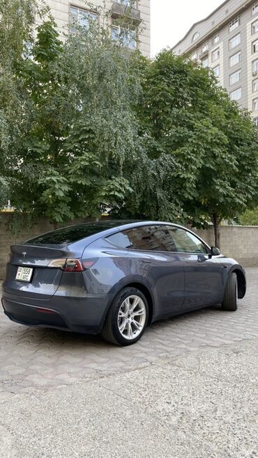 Tesla: Tesla Model Y: 2023 г., Автомат, Электромобиль, Кроссовер — 4