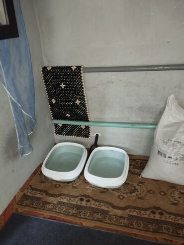 Продажа кошек: Гостиница для кошечек и маленьких собачек до 5 кг Предлагаем — 11